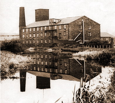 Picture 1. Daniel Woods Mill before the fire of 1986