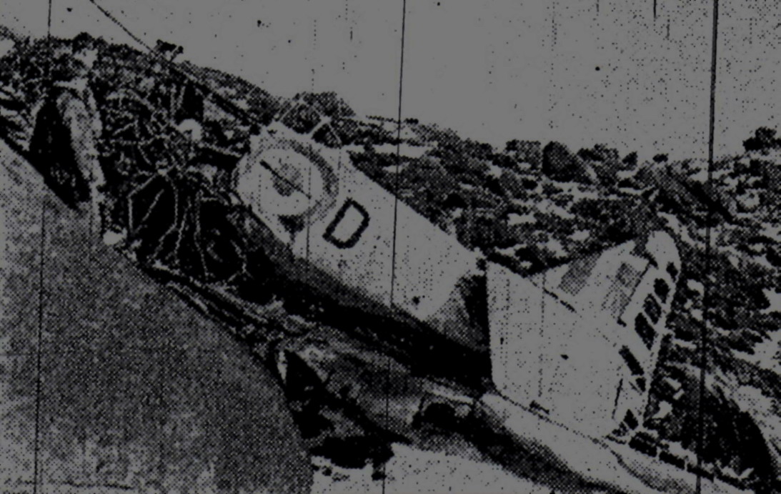 The crashed Harvard