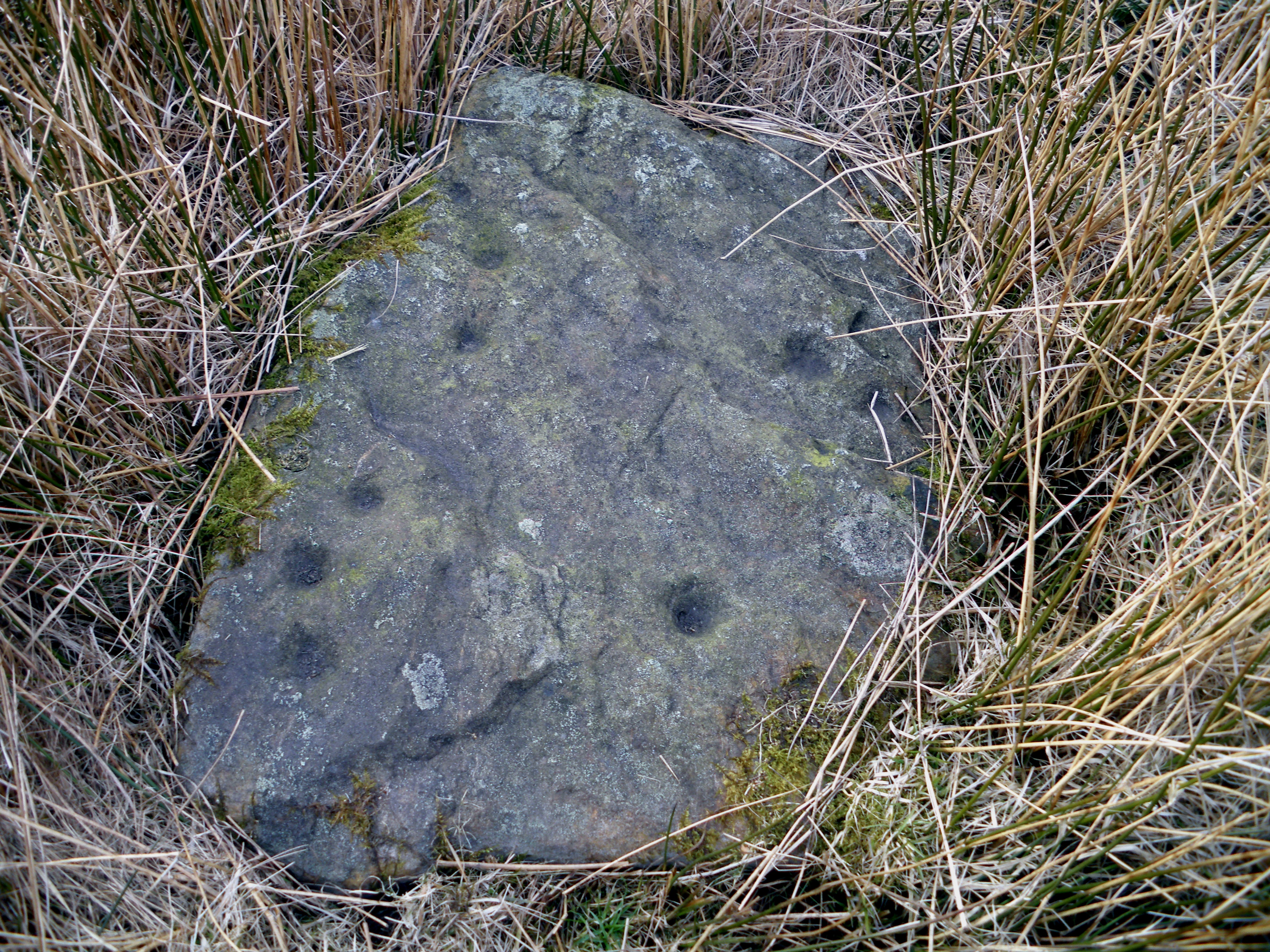 The Cup Marked Stone