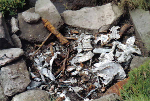 Hampden fragments at Cluther Rocks