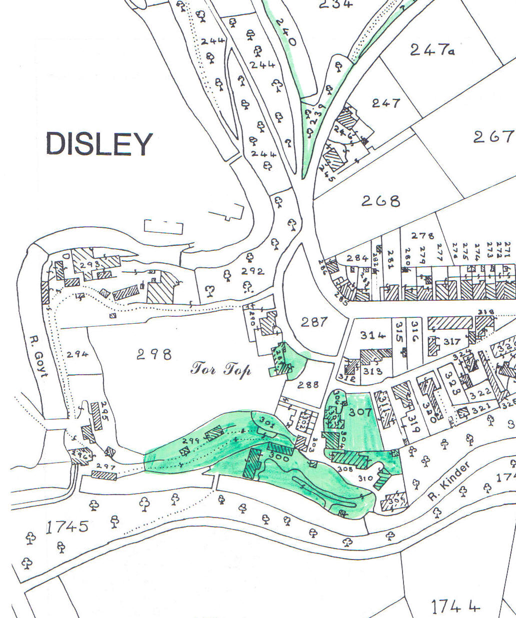 Barnes family holdings in the town centre (in green)