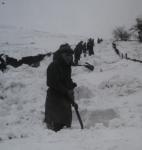 The Winters of 1947 and 1955