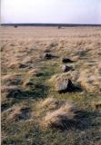 Barbrook 3 Stone Circle.