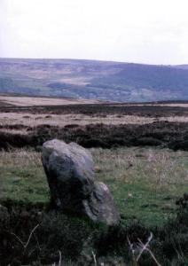 A Standing Stone at the Smelting Hill Circle.