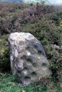 Cup and Ring, Prehistoric Rock Art, Eyam Moor.