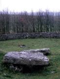 A Chambered Tombs at Minninglow.