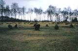 Nine Ladies, Stanton Moor.