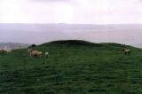 Carlton Pasture Cairns.