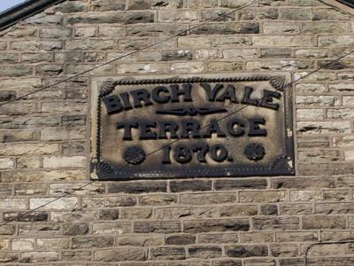 Sycamore Road - 16 Row