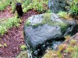 Prehistoric Rock Art, Rowtor Rocks.