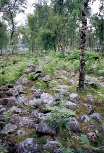 Enclosure Wall, Gardoms Edge.