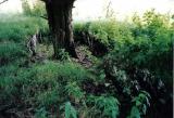 Bole Hill Chambered Cairn.