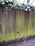 German bullet hole in Station Road fence