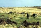 Barbrook one, Stone Circle.