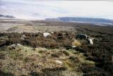 Bamford Moor South Circle.