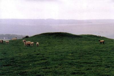 Carlton Pasture Cairns.