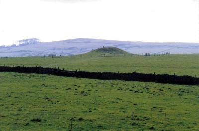 Gib Hill.