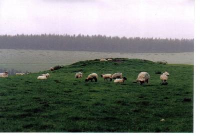 Carlton Pasture Cairn 2.