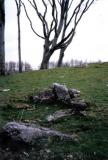 Remains of a Chambered Tomb at Minninglow.