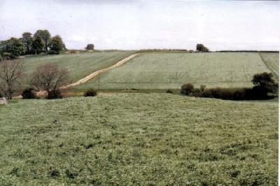Gorsey Low.