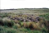 Big Moor Cairn.2.