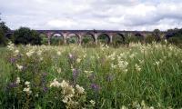 Goytside Meadows Nature Reserve