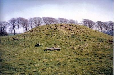 Gib Hill. 2.