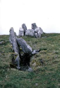 Five Wells.